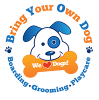 Bring Your Own Dog